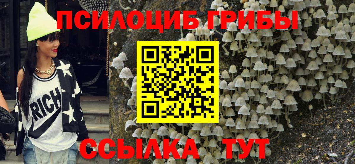 Ефремов  Галлюциногенные грибы MAGIC MUSHROOMS  Вход с VPN 